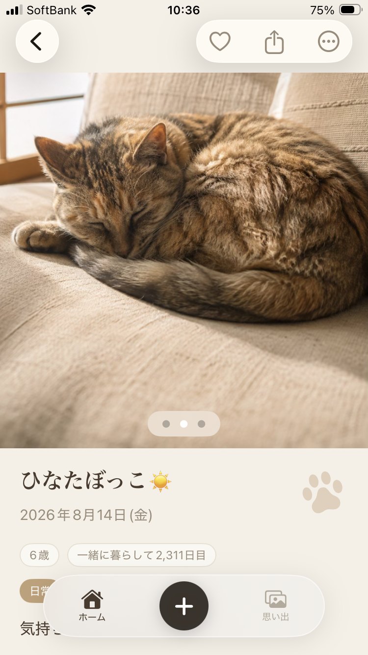 思い出の詳細: ひなたぼっこ、6歳、一緒に暮らして2,311日目